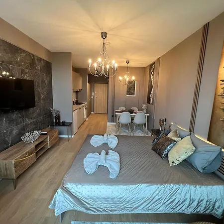 Rome Stylish W Working Space And Paid Parking Spot