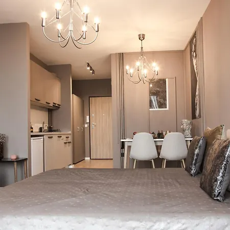 Rome Stylish W Working Space And Paid Parking Spot * Sofia